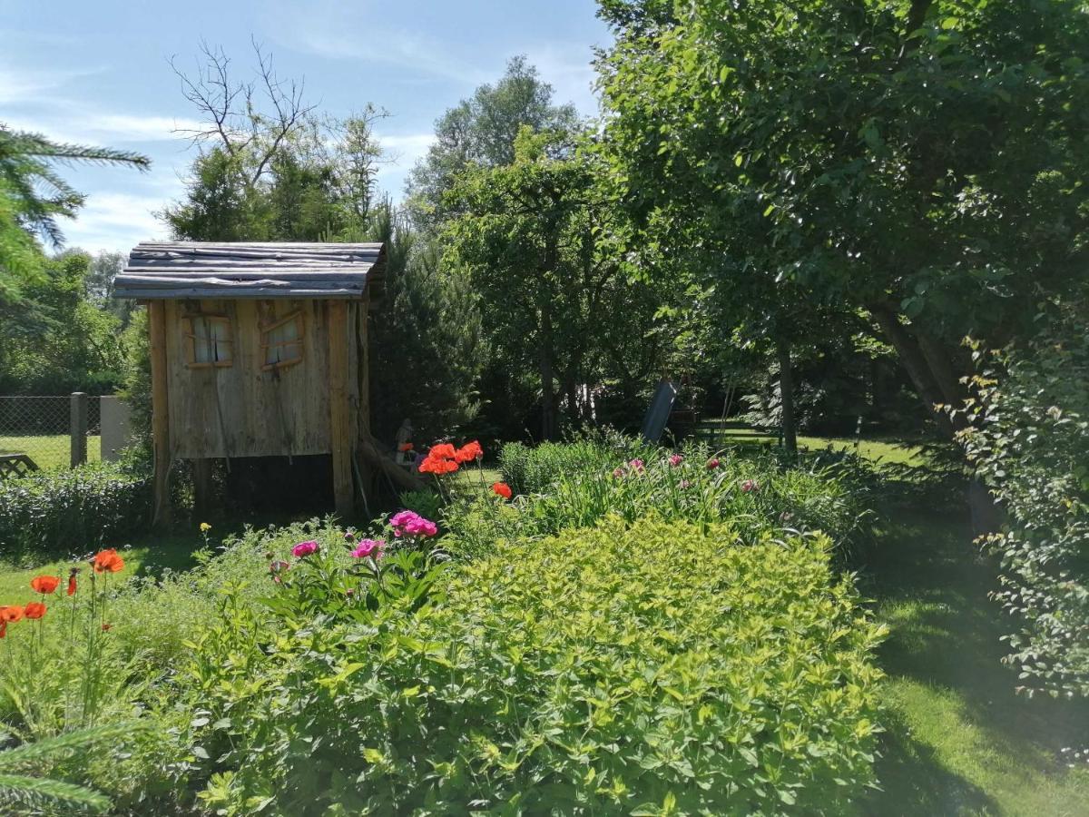 Ferienhaus "Peter" Objekt Id 12075-0 Mollenhagen Dış mekan fotoğraf